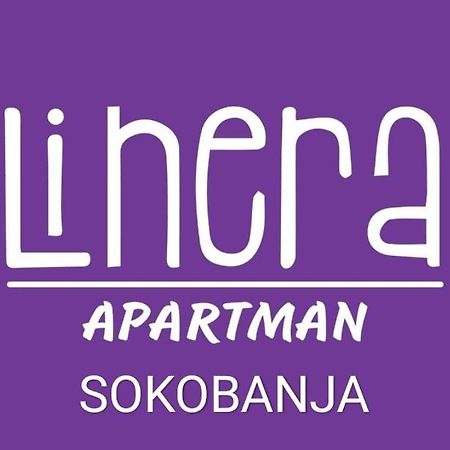 Apartman Linera ソコバニャ エクステリア 写真