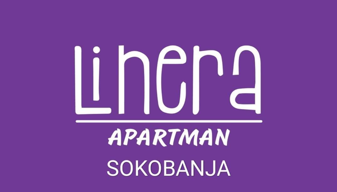 Apartman Linera ソコバニャ エクステリア 写真